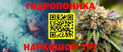 2c-b Гусев