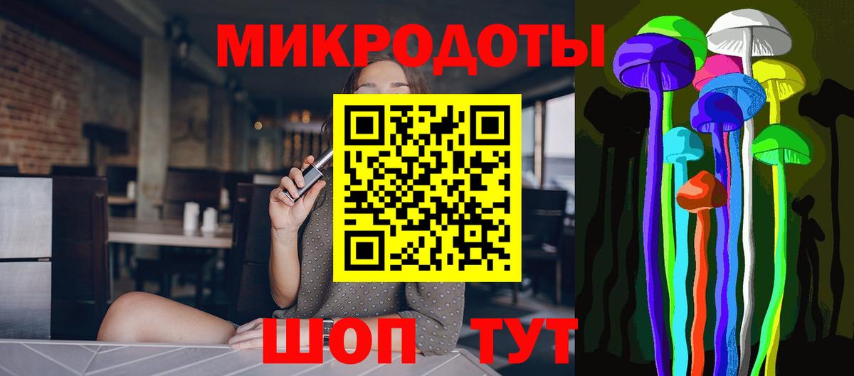 Псилоцибиновые грибы Psilocybe Коломна